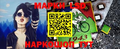 шишки Гатчина