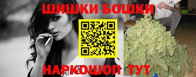 шишки Гатчина