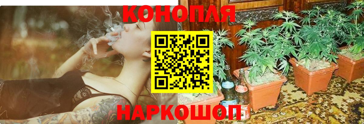 Бошки Шишки сатива  Вход с VPN  Бошки Шишки White Widow  Нововоронеж  Шишки марихуана марихуана 